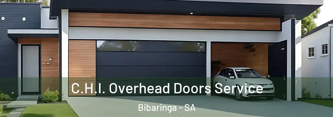  C.H.I. Overhead Doors Service Bibaringa - SA