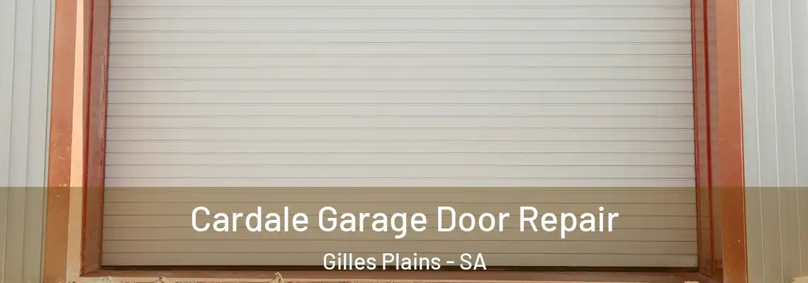 Cardale Garage Door Repair Gilles Plains - SA