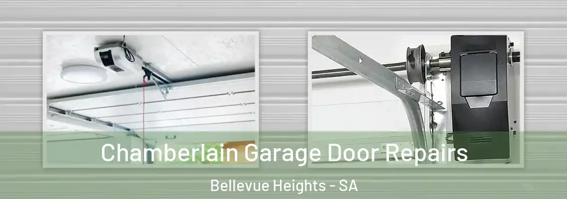 Chamberlain Garage Door Repairs Bellevue Heights - SA