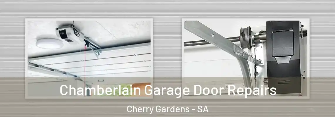 Chamberlain Garage Door Repairs Cherry Gardens - SA