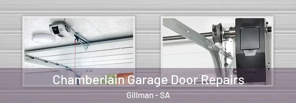 Chamberlain Garage Door Repairs Gillman - SA