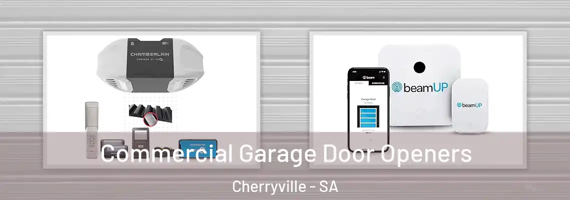 Commercial Garage Door Openers Cherryville - SA