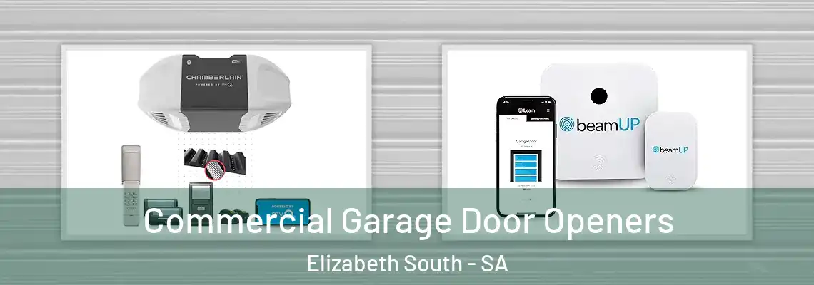 Commercial Garage Door Openers Elizabeth South - SA