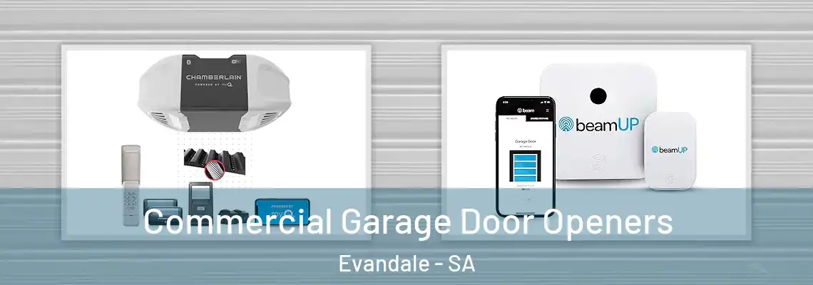 Commercial Garage Door Openers Evandale - SA