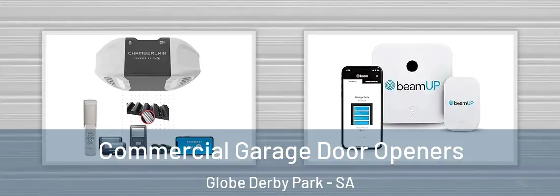  Commercial Garage Door Openers Globe Derby Park - SA