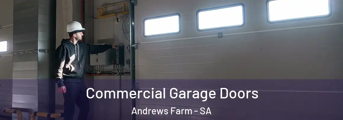 Commercial Garage Doors Andrews Farm - SA