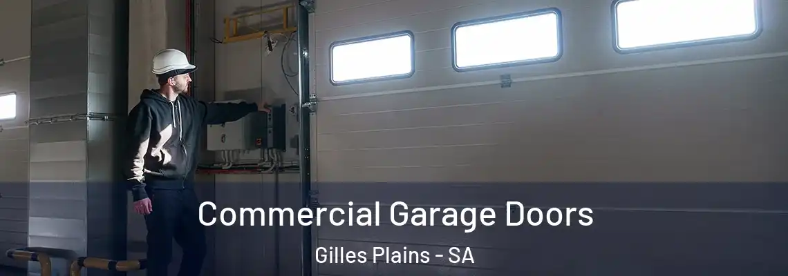 Commercial Garage Doors Gilles Plains - SA