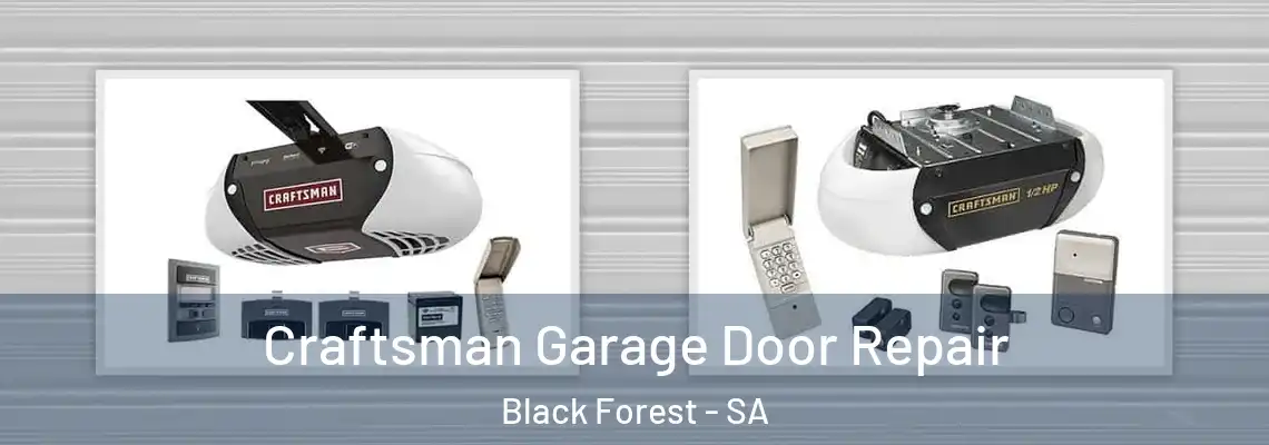 Craftsman Garage Door Repair Black Forest - SA