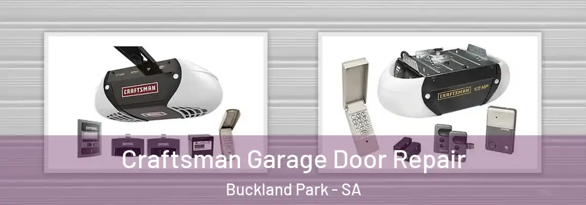 Craftsman Garage Door Repair Buckland Park - SA
