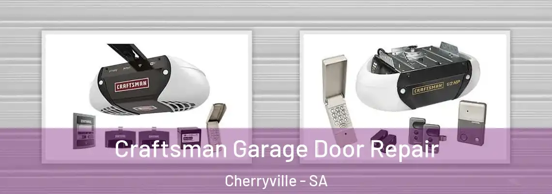  Craftsman Garage Door Repair Cherryville - SA