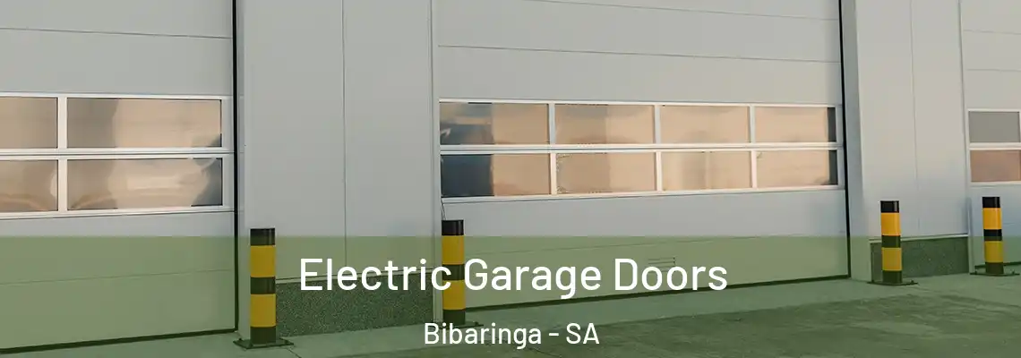 Electric Garage Doors Bibaringa - SA
