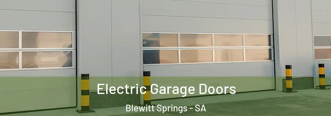  Electric Garage Doors Blewitt Springs - SA