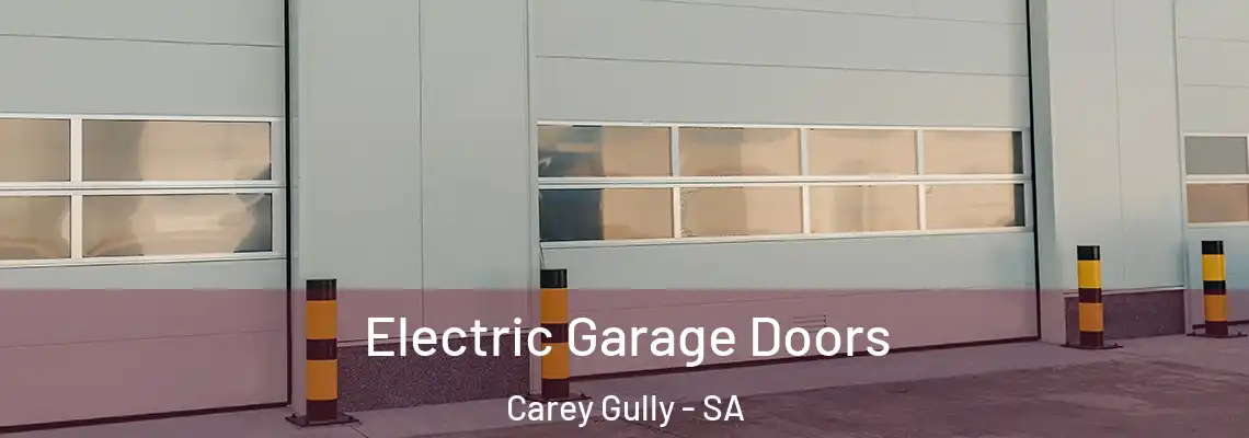  Electric Garage Doors Carey Gully - SA