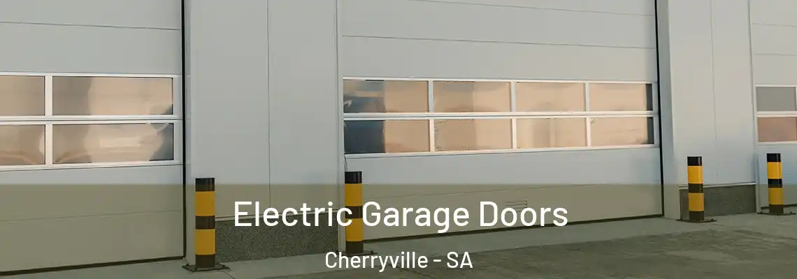 Electric Garage Doors Cherryville - SA