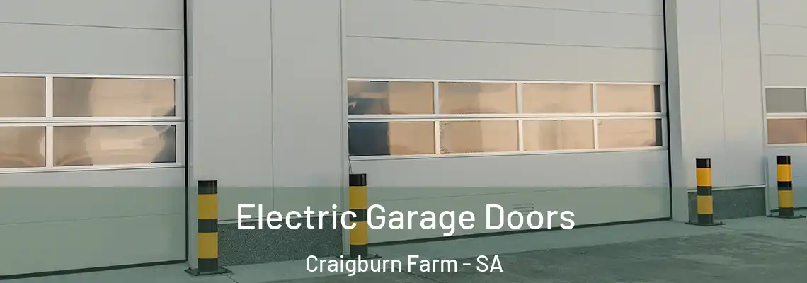 Electric Garage Doors Craigburn Farm - SA