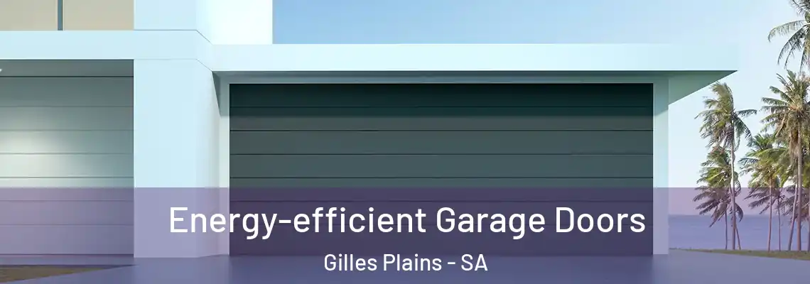 Energy-efficient Garage Doors Gilles Plains - SA