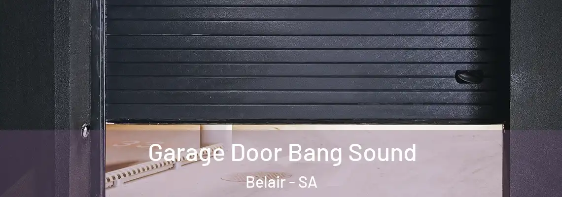 Garage Door Bang Sound Belair - SA