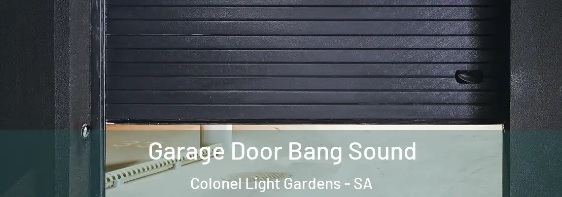  Garage Door Bang Sound Colonel Light Gardens - SA