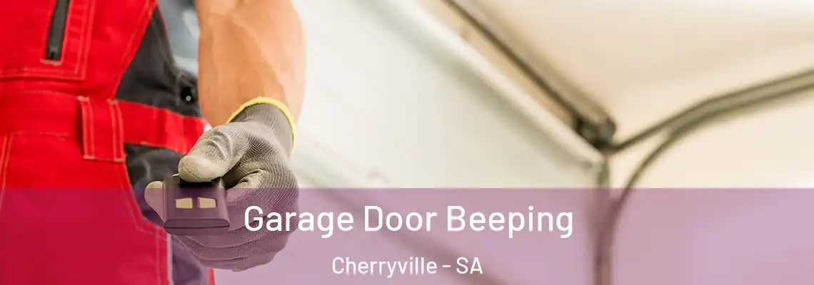  Garage Door Beeping Cherryville - SA