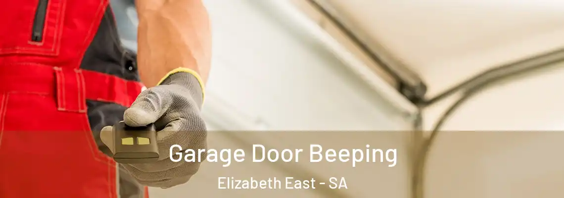 Garage Door Beeping Elizabeth East - SA