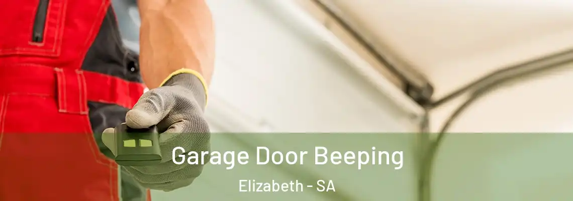  Garage Door Beeping Elizabeth - SA