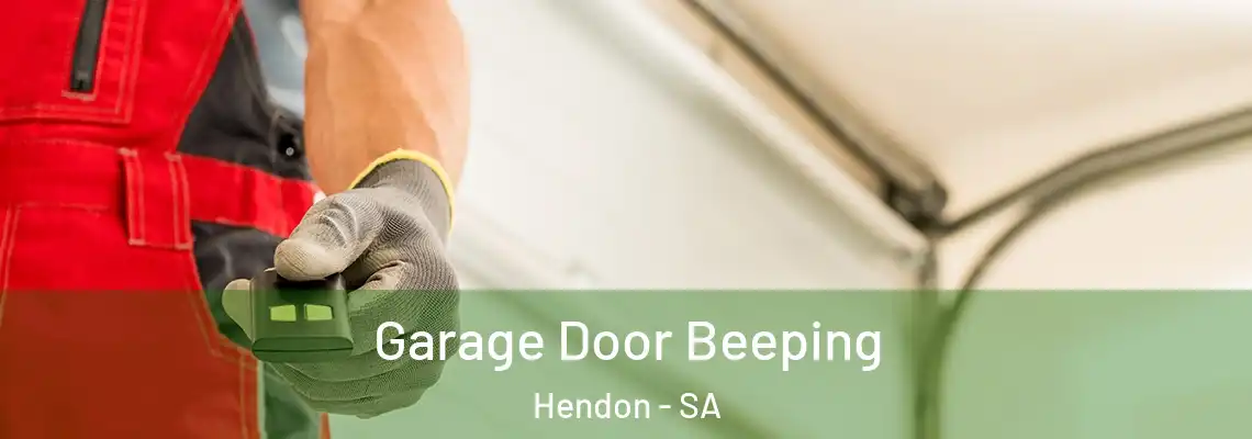  Garage Door Beeping Hendon - SA