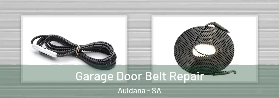 Garage Door Belt Repair Auldana - SA