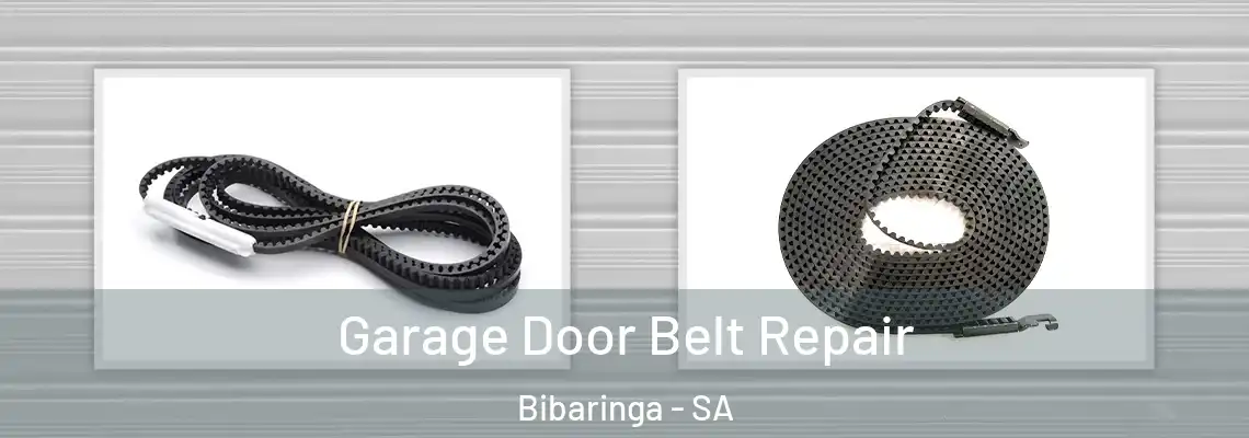 Garage Door Belt Repair Bibaringa - SA