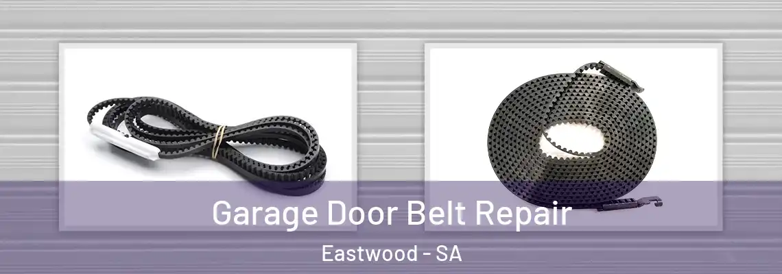  Garage Door Belt Repair Eastwood - SA