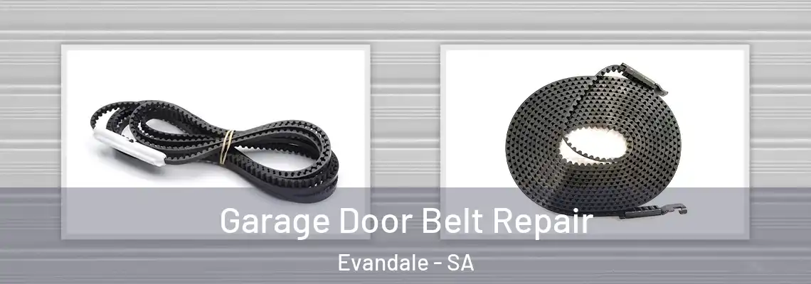 Garage Door Belt Repair Evandale - SA