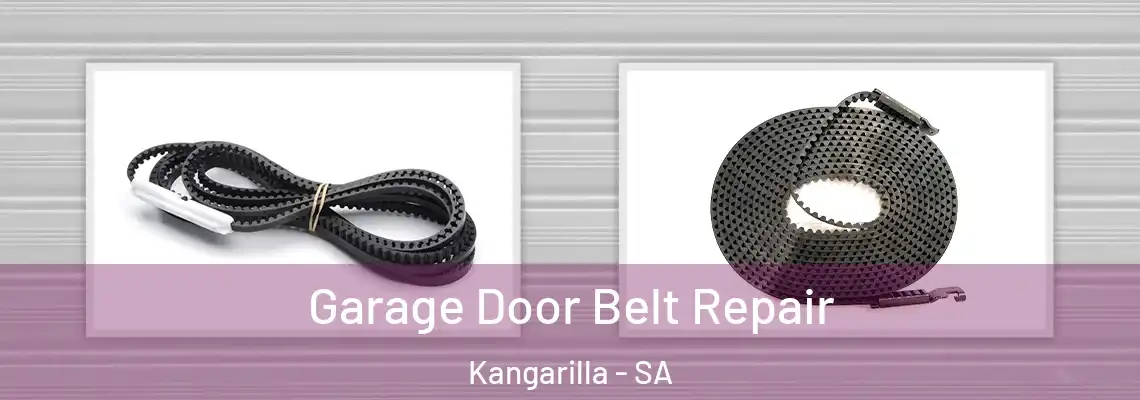Garage Door Belt Repair Kangarilla - SA