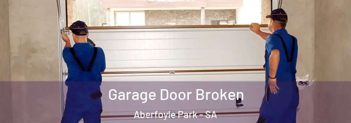  Garage Door Broken Aberfoyle Park - SA