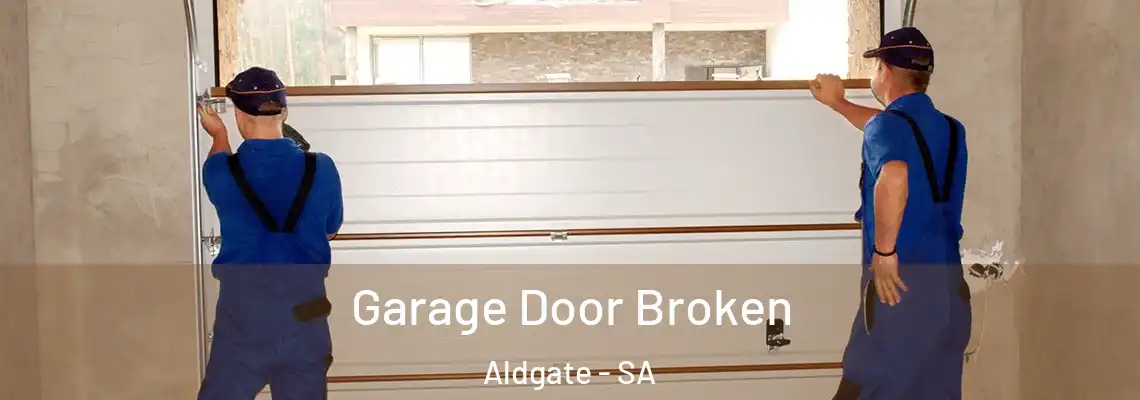  Garage Door Broken Aldgate - SA