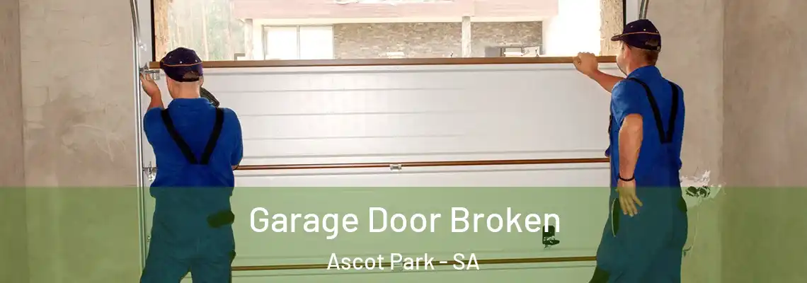  Garage Door Broken Ascot Park - SA