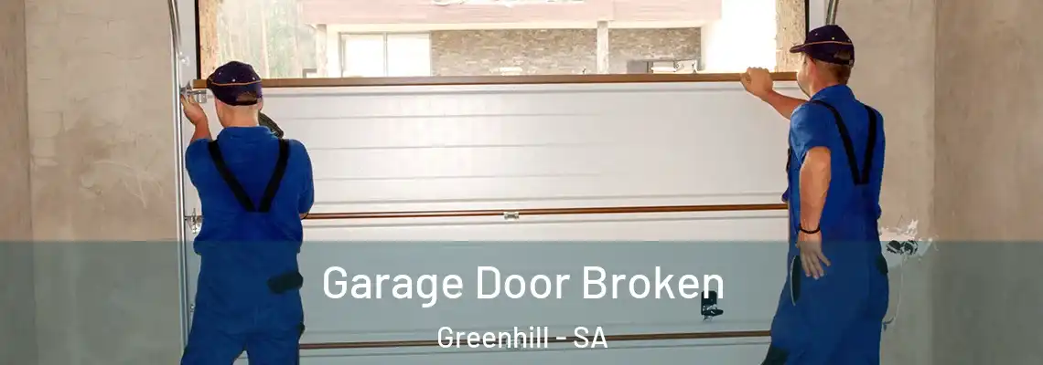  Garage Door Broken Greenhill - SA