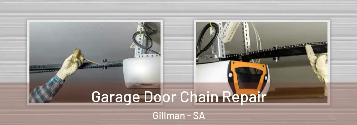 Garage Door Chain Repair Gillman - SA