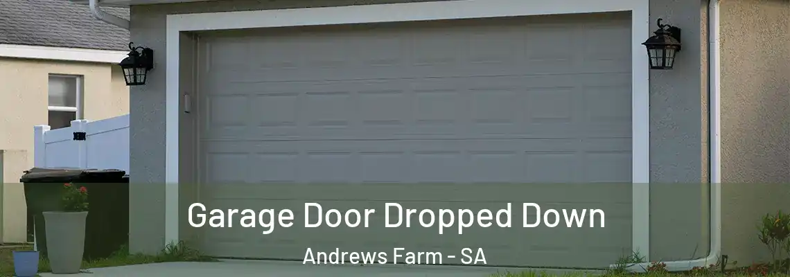 Garage Door Dropped Down Andrews Farm - SA