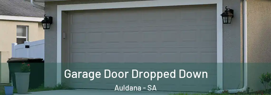 Garage Door Dropped Down Auldana - SA