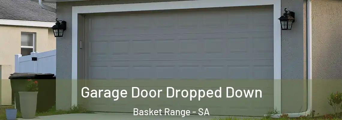 Garage Door Dropped Down Basket Range - SA