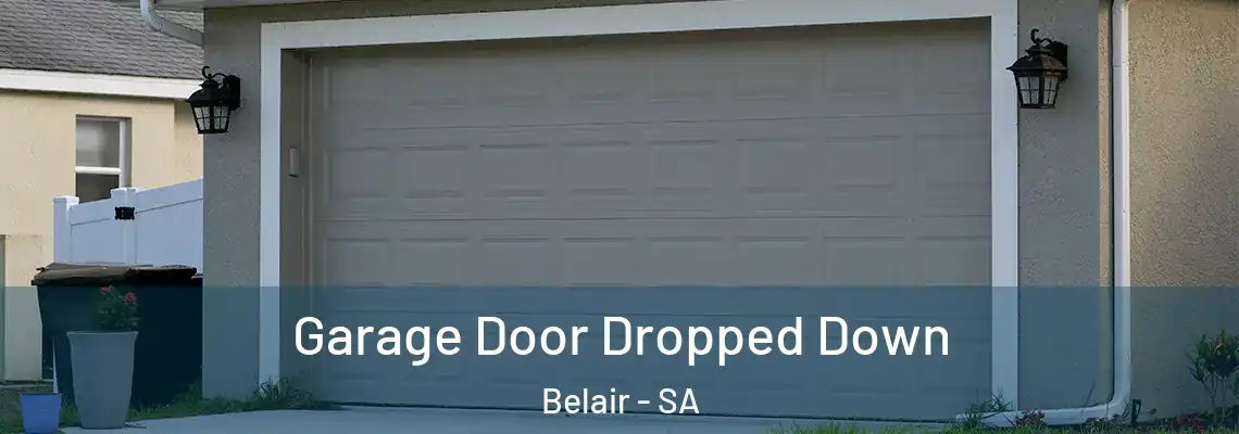 Garage Door Dropped Down Belair - SA