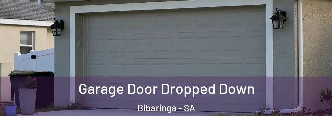  Garage Door Dropped Down Bibaringa - SA