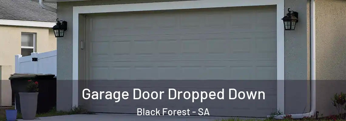 Garage Door Dropped Down Black Forest - SA