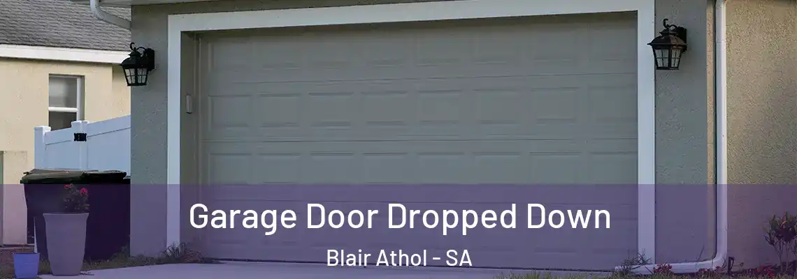  Garage Door Dropped Down Blair Athol - SA