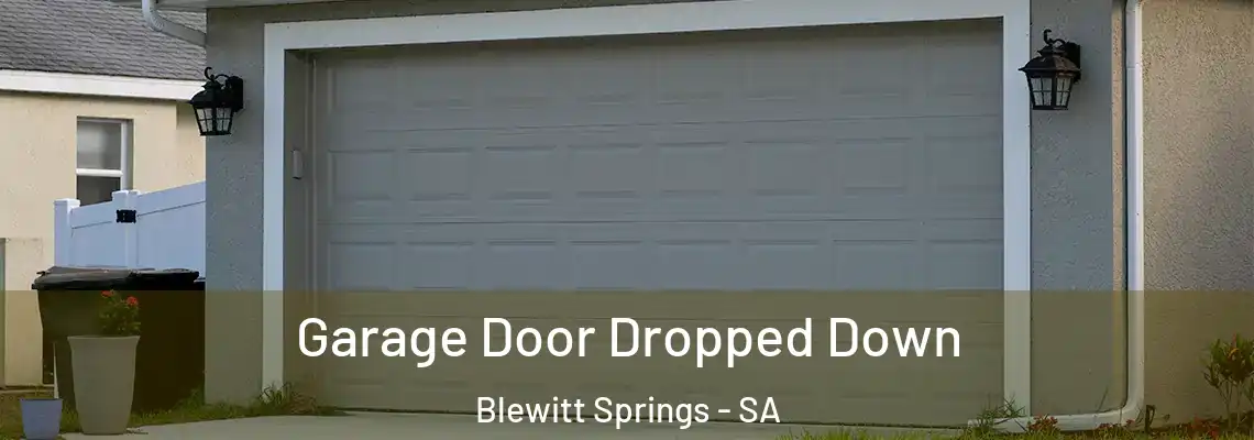 Garage Door Dropped Down Blewitt Springs - SA