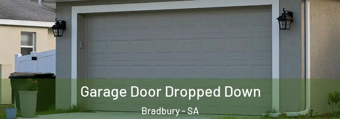  Garage Door Dropped Down Bradbury - SA
