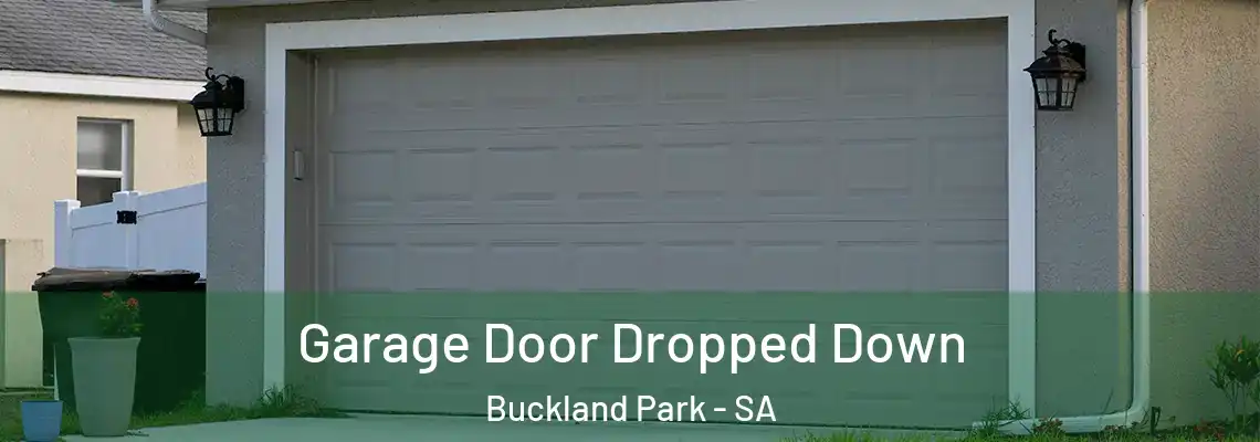  Garage Door Dropped Down Buckland Park - SA