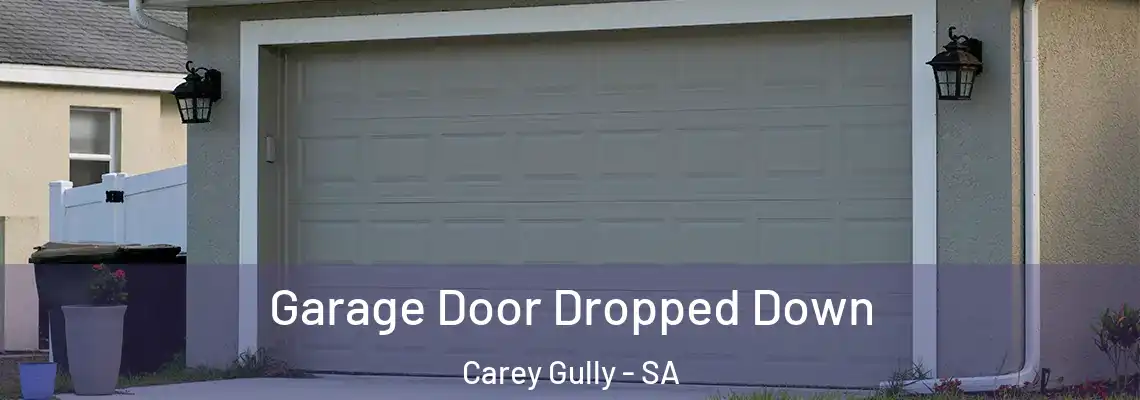  Garage Door Dropped Down Carey Gully - SA