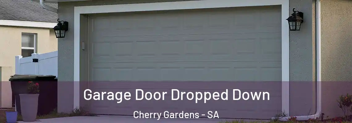  Garage Door Dropped Down Cherry Gardens - SA