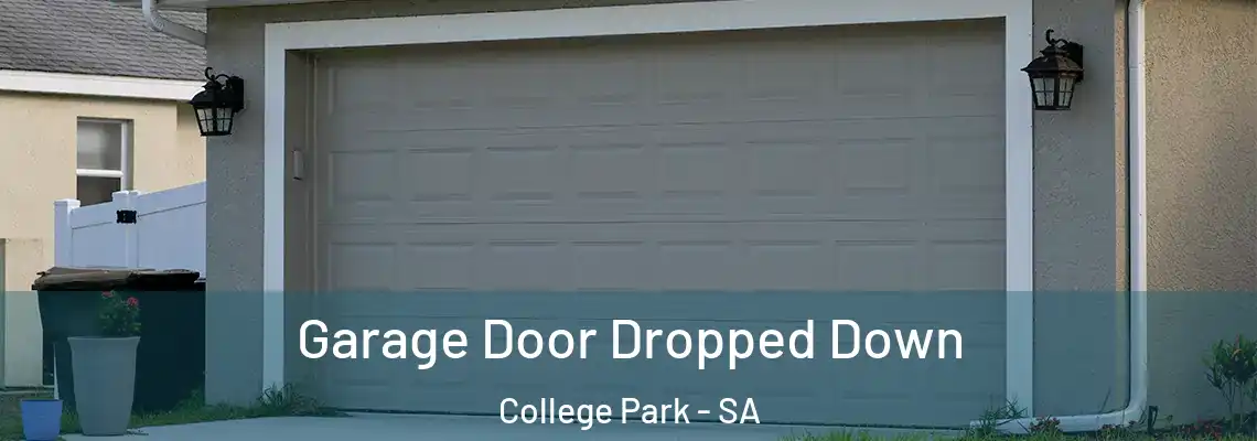 Garage Door Dropped Down College Park - SA