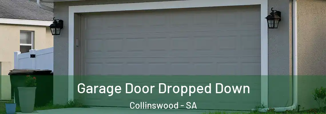  Garage Door Dropped Down Collinswood - SA
